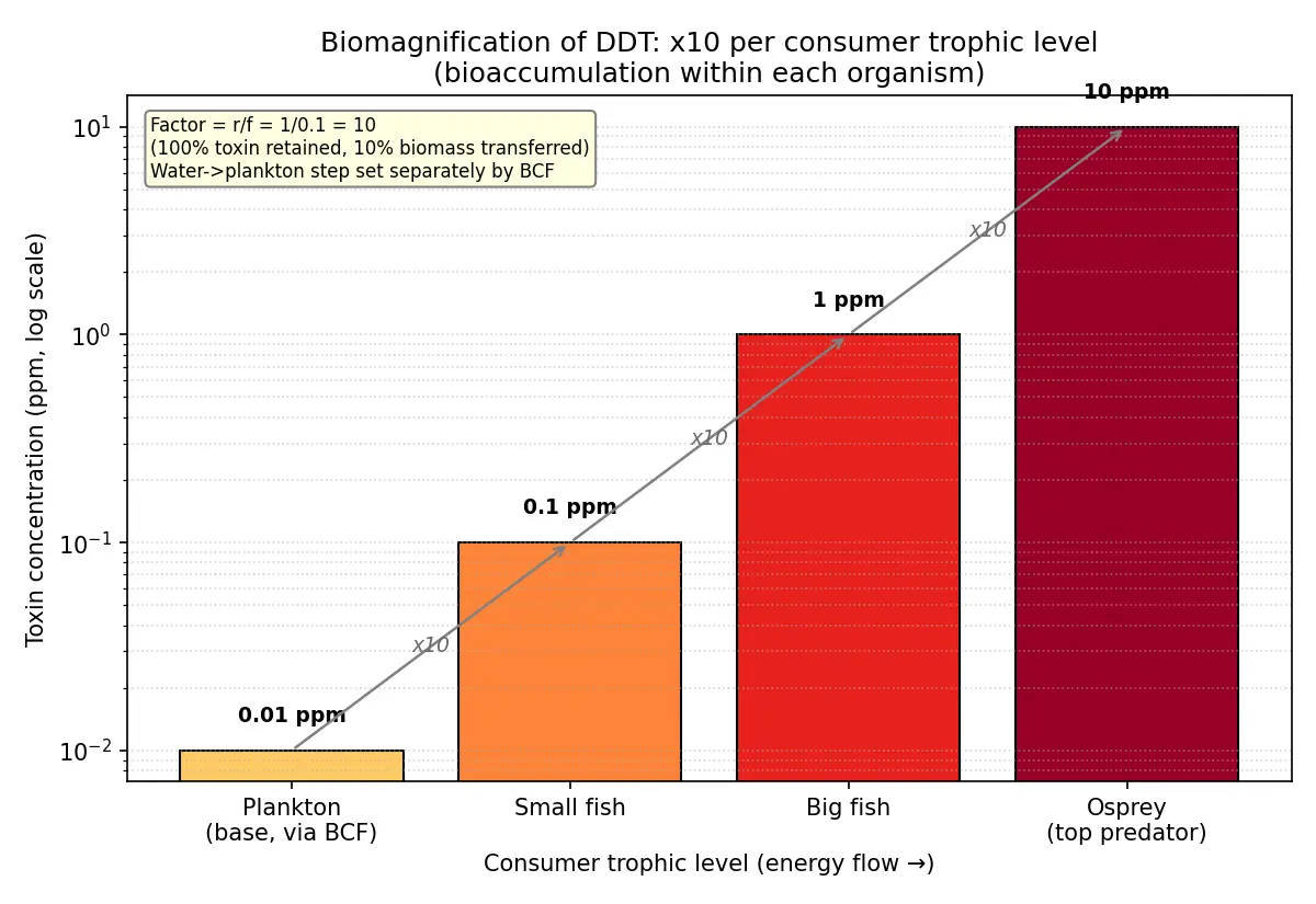 Figure — Explain bioaccumulation and biomagnification