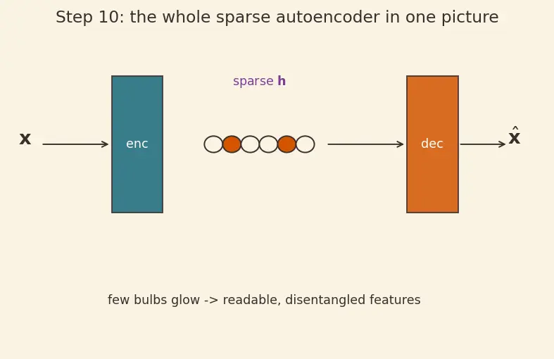 Figure — Sparse autoencoders for features
