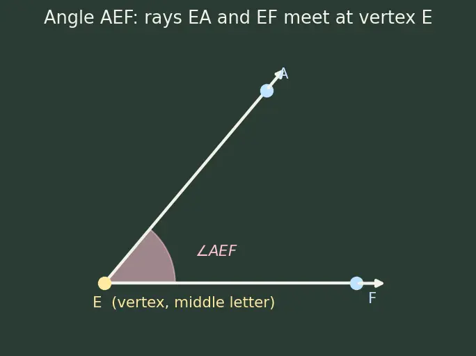 Figure — Parallel and perpendicular lines — properties, transversal, alternate - co-interior angles