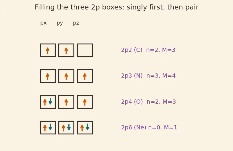 Figure — Hund's rule of maximum multiplicity