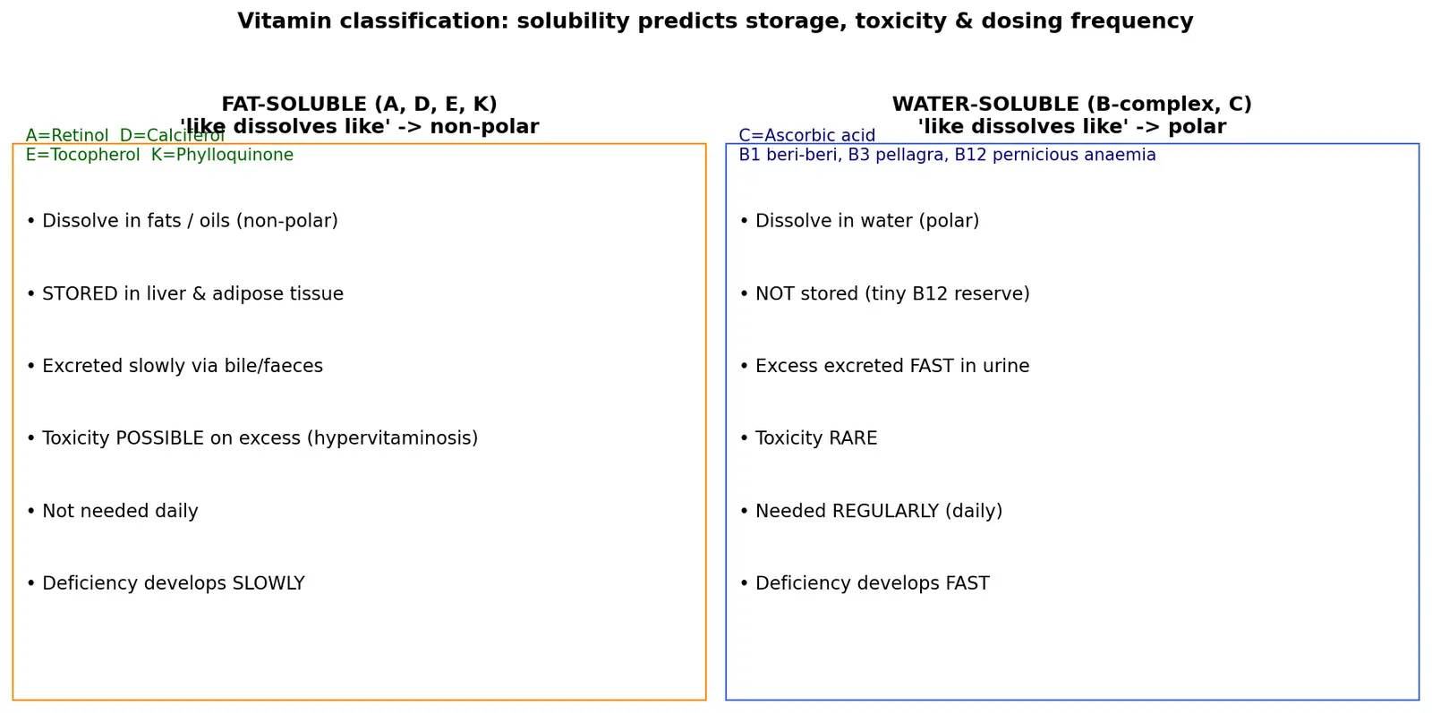 Figure — Vitamins — fat-soluble (A, D, E, K) vs water-soluble (B-complex, C)