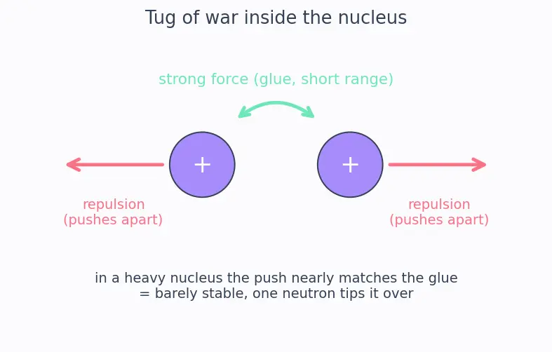 Figure — Fission — chain reaction, critical mass, reactors (thermal vs fast)