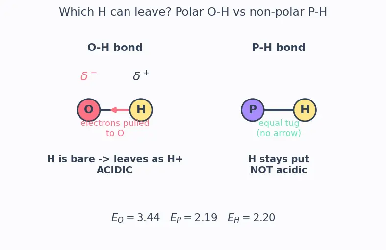 Figure — Phosphorus allotropes (white, red, black); P₄O₆, P₄O₁₀; oxoacids of P (H₃PO₃ vs H₃PO₄ basicity)
