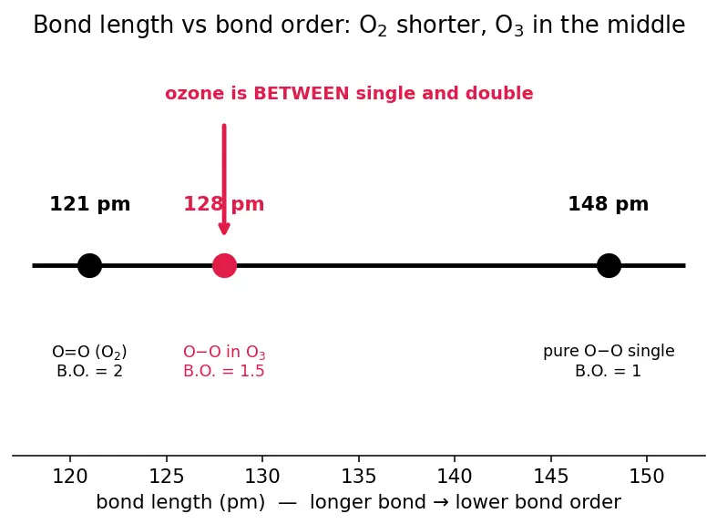 Figure — Group 16 (Oxygen family) — allotropes of O (O₂, O₃); ozone chemistry, ozone layer