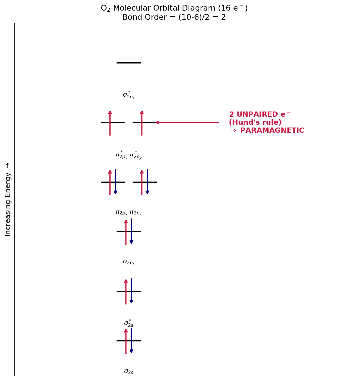 Figure — Why O₂ is paramagnetic (MOT prediction)