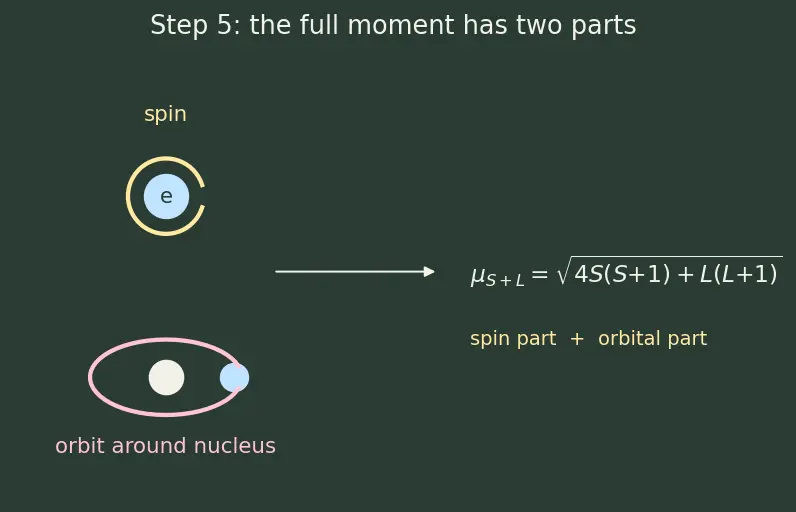 Figure — Magnetic properties — paramagnetism via spin-only formula μ = √(n(n+2)) BM