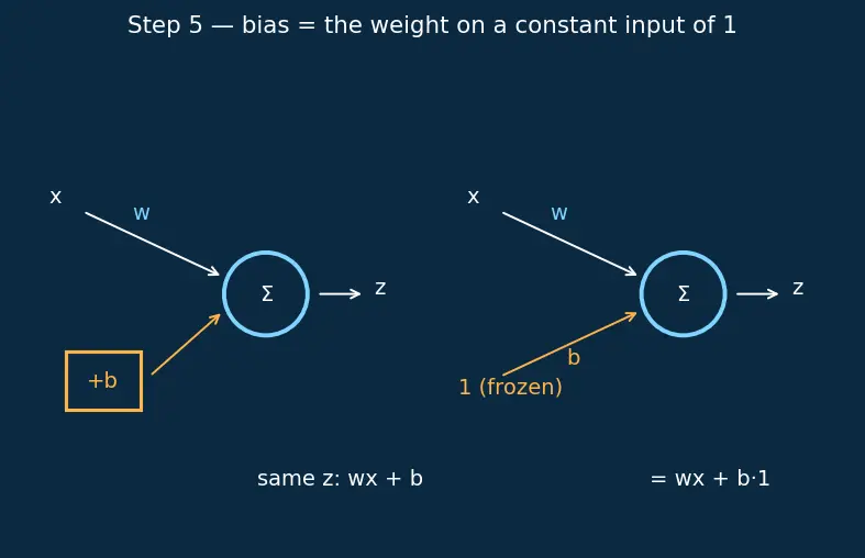 Figure — Bias terms and their role