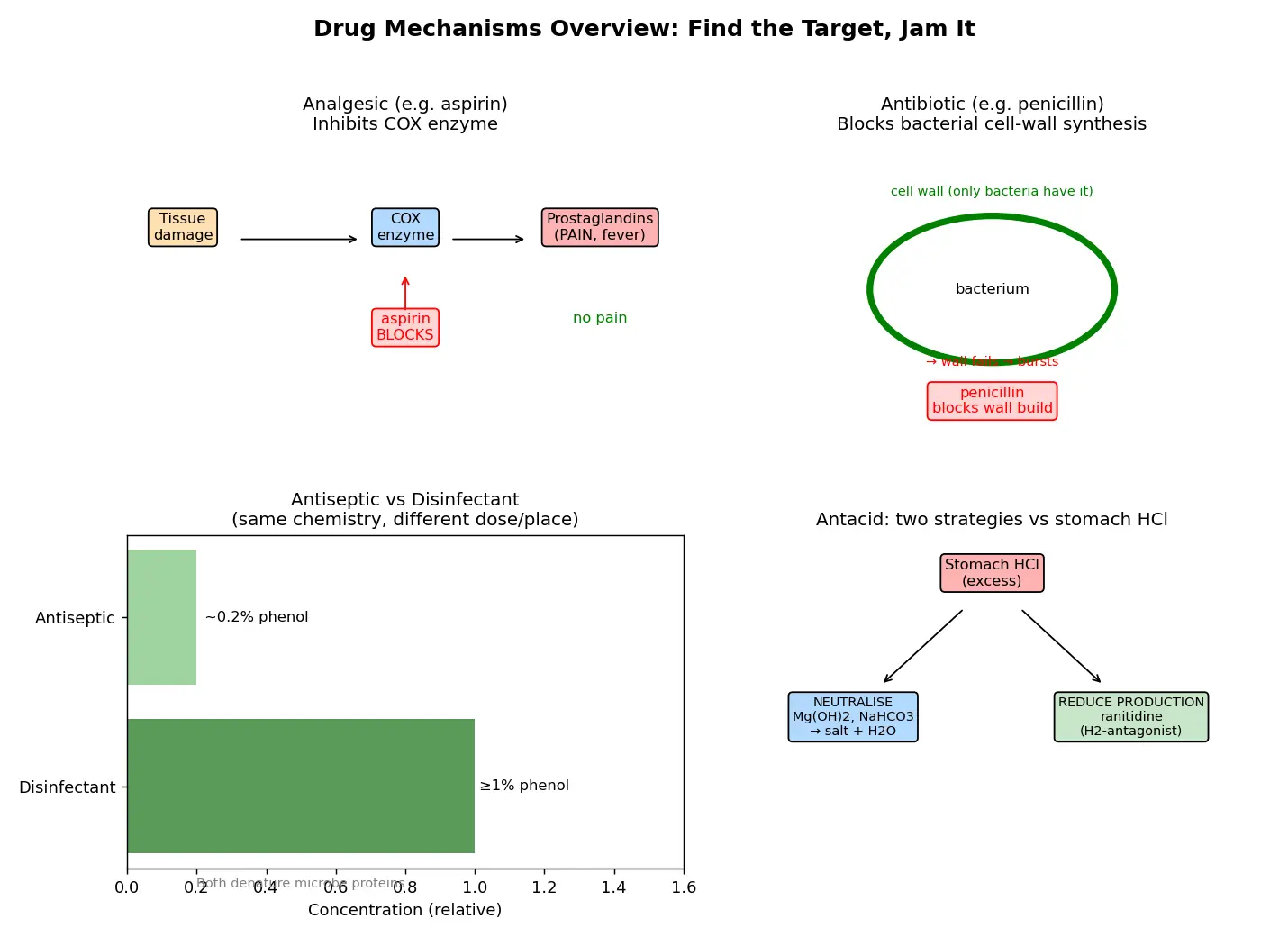 Figure — Drugs — analgesics, antibiotics, antiseptics, antacids (mechanism overview)