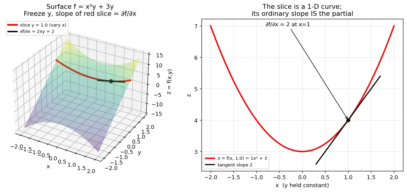 Figure — Partial derivatives