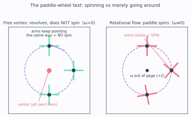 Figure — Vorticity — ω = ∇ × v, circulation Γ