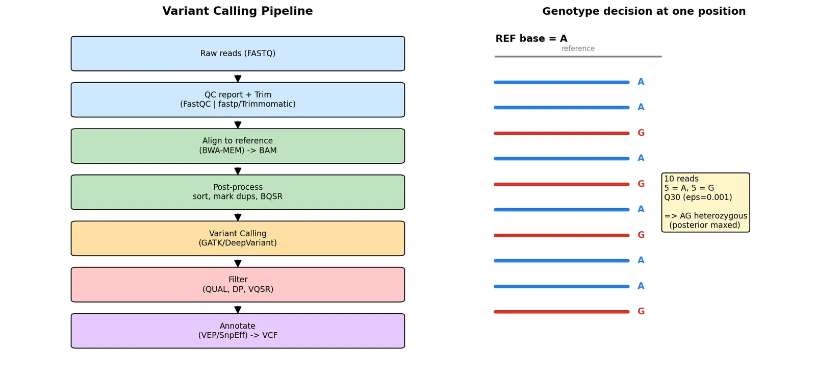 Figure — Describe variant calling pipelines