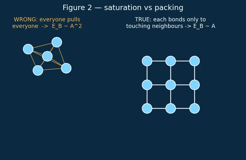 Figure — Nuclear structure — protons, neutrons, nuclear forces