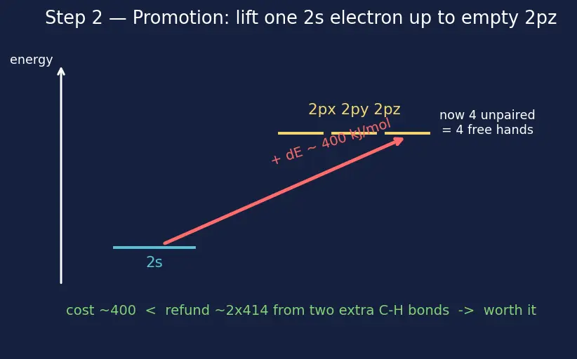 Figure — Tetravalency of carbon; hybridization recap (sp, sp², sp³)