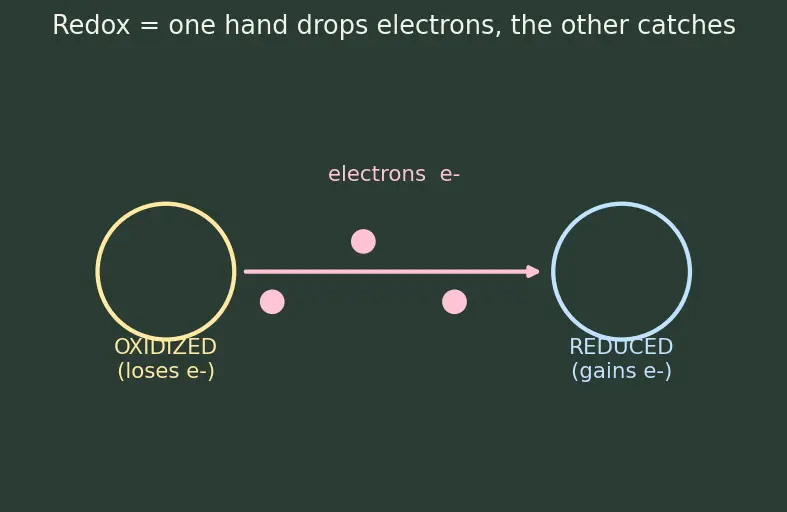 Figure — Galvanic (voltaic) cells — anode (oxidation), cathode (reduction)