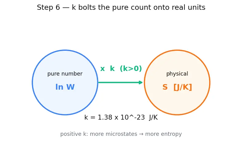 Figure — Entropy and disorder — Boltzmann S = k·ln(W)