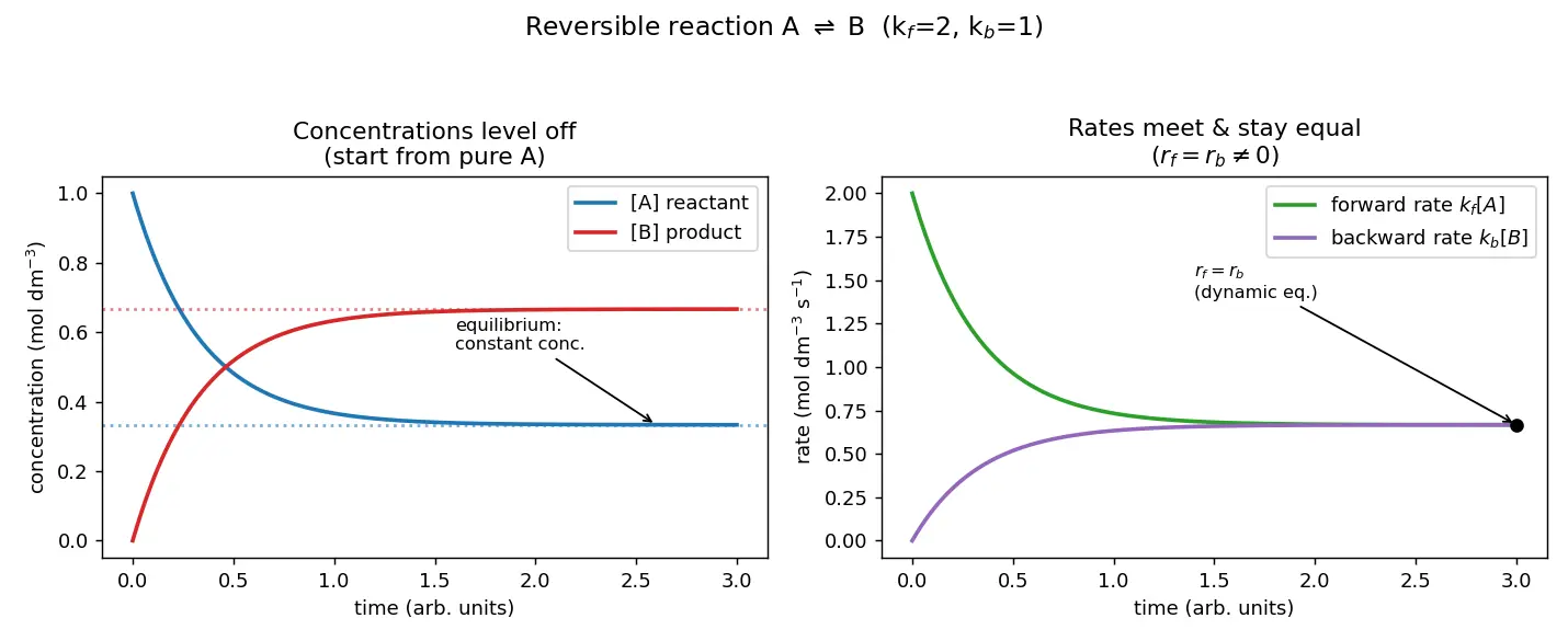 Figure — Reversible reactions and dynamic equilibrium