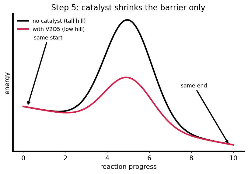 Figure — Sulfur — allotropes (rhombic, monoclinic); SO₂, SO₃; H₂SO₄ (Contact process); oxoacids of S