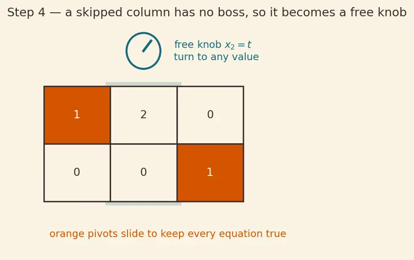 Figure — Pivot positions, free variables