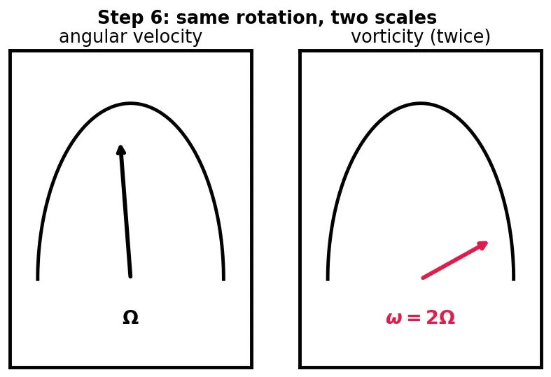 Figure — Vorticity — ω = ∇ × v, circulation Γ