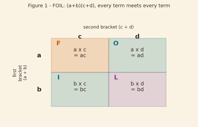 Figure — Multiplication of algebraic expressions — monomial × polynomial, polynomial × polynomial