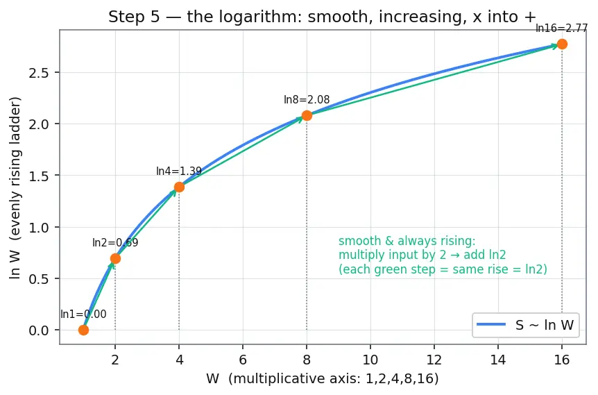 Figure — Entropy and disorder — Boltzmann S = k·ln(W)