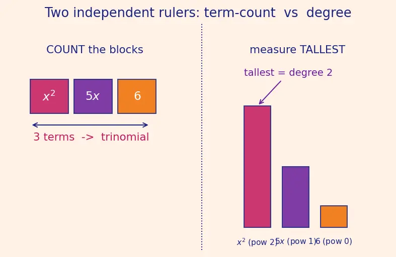 Figure — Polynomials — degree, types (monomial, binomial, trinomial)