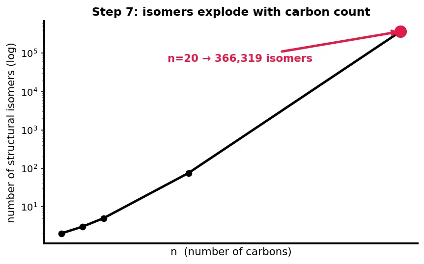 Figure — Catenation and the diversity of organic molecules