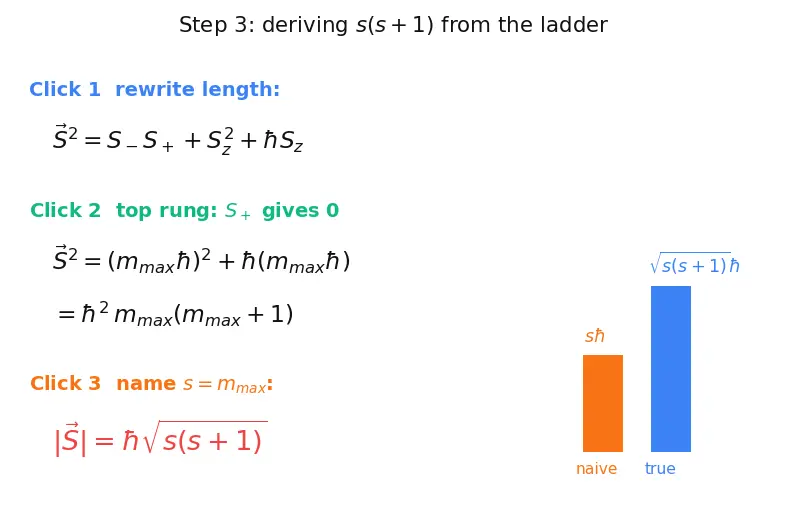 Figure — Spin — intrinsic angular momentum