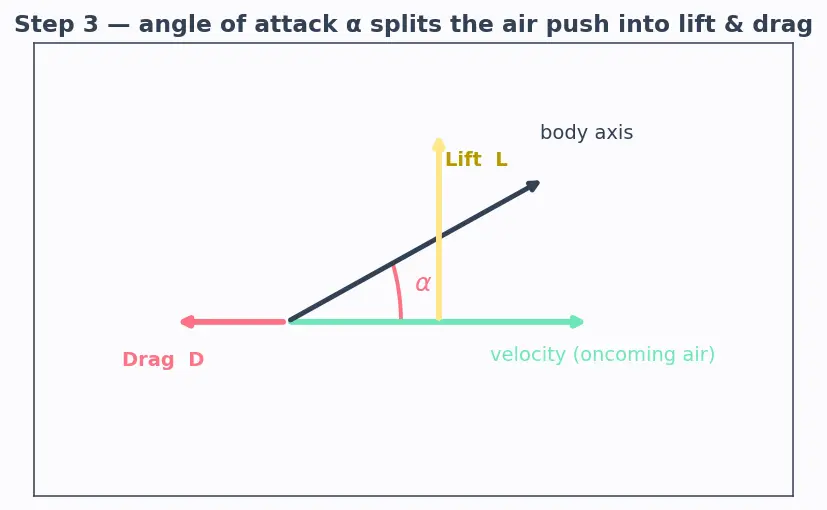 Figure — Reentry corridor — angle of attack constraints