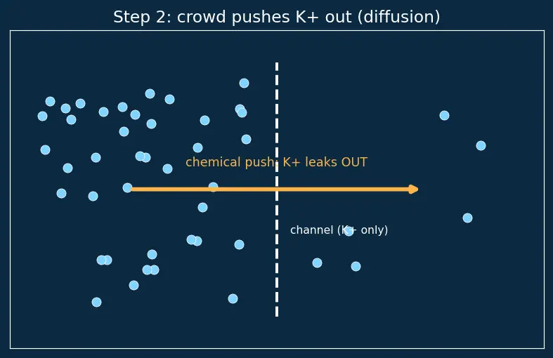 Figure — Biological importance of Na, K, Ca, Mg