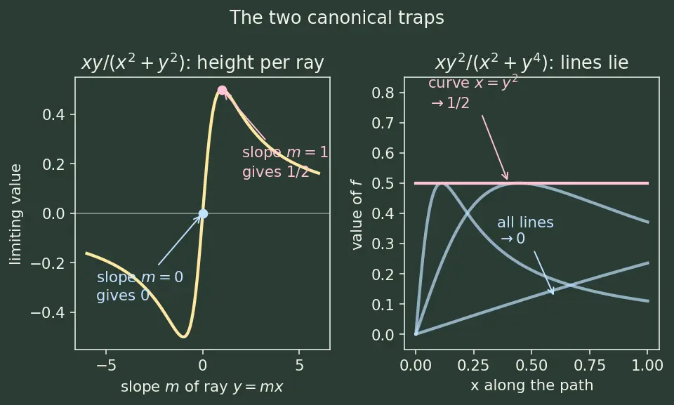 Figure — Limits and continuity in 2D — path-dependence issue