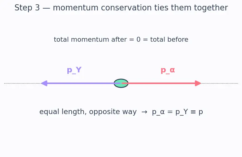 Figure — Radioactive decay — alpha, beta, gamma — mechanisms