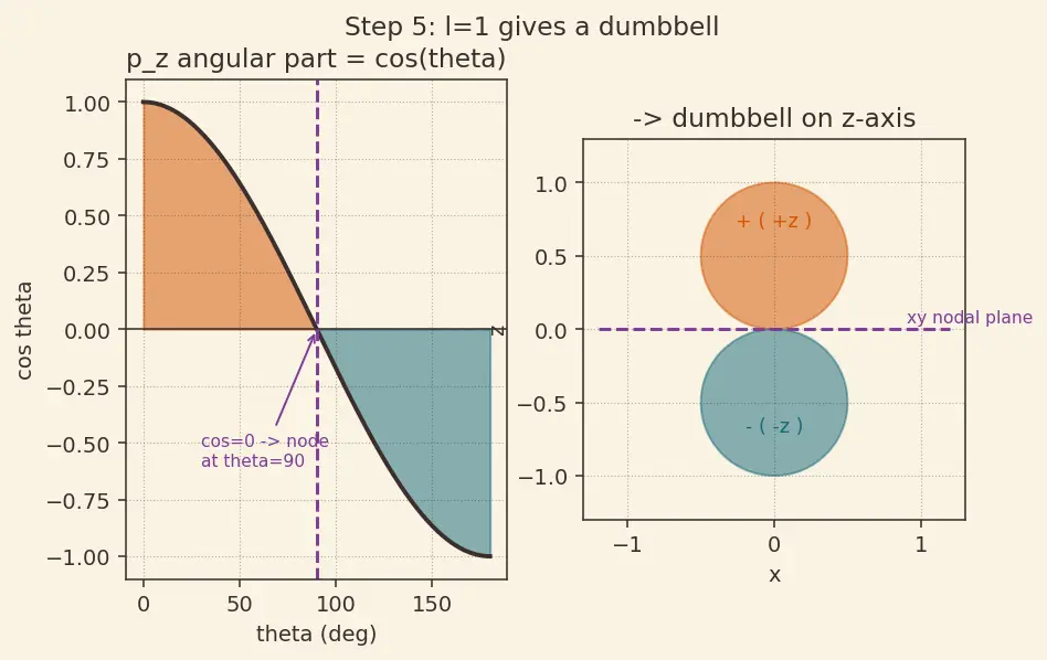Figure — Orbital shapes — s (spherical), p (dumbbell), d (cloverleaf), f