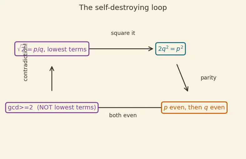 Figure — Irrational numbers — √2, π, e — proof that √2 is irrational