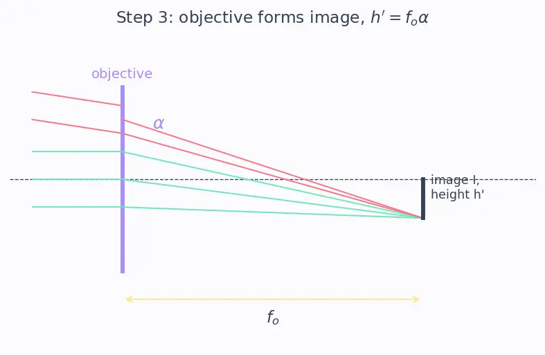 Figure — Optical instruments — human eye, simple microscope, compound microscope, telescope
