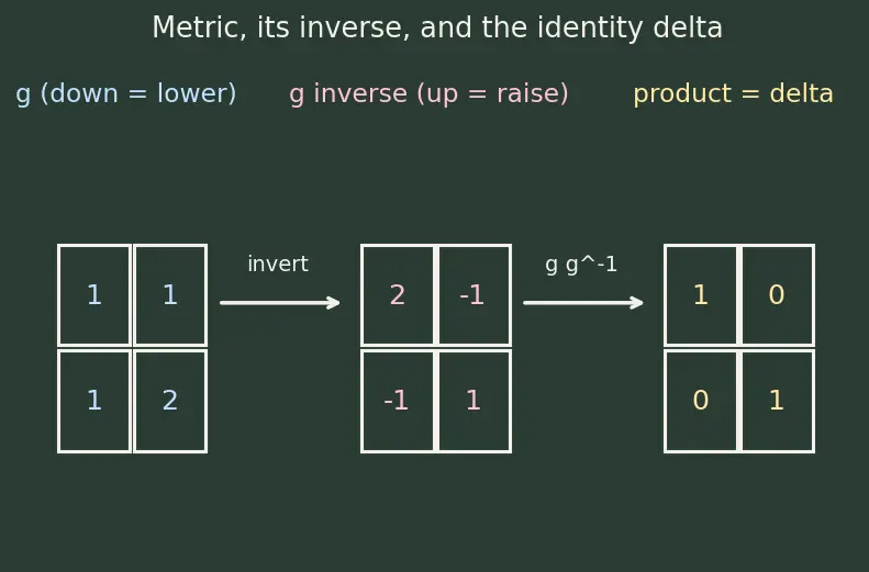 Figure — Metric tensor — raising - lowering indices