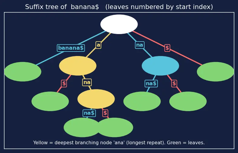 Figure — Suffix tree (conceptual)