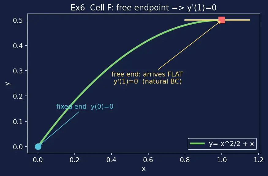 Figure — Euler-Lagrange equation — derivation