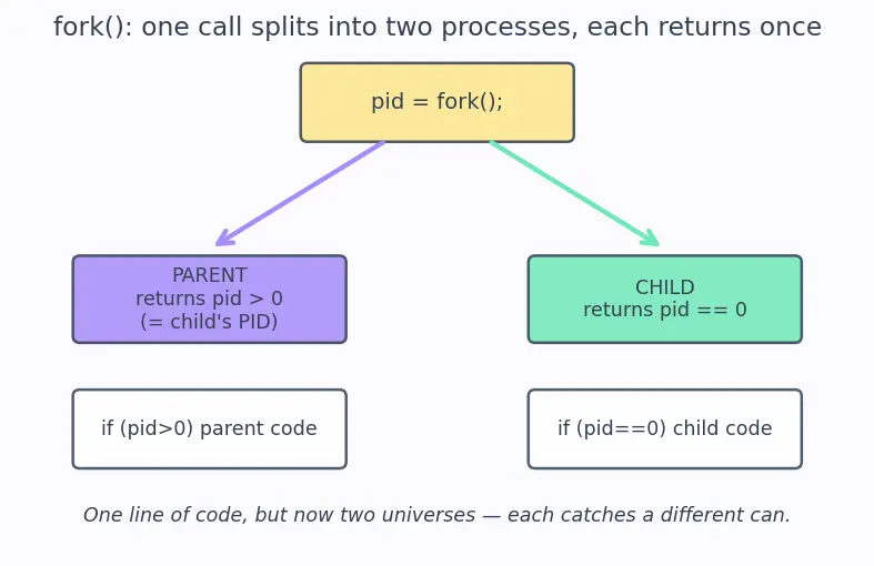 Figure — Process creation — fork(), exec(), wait(), exit()