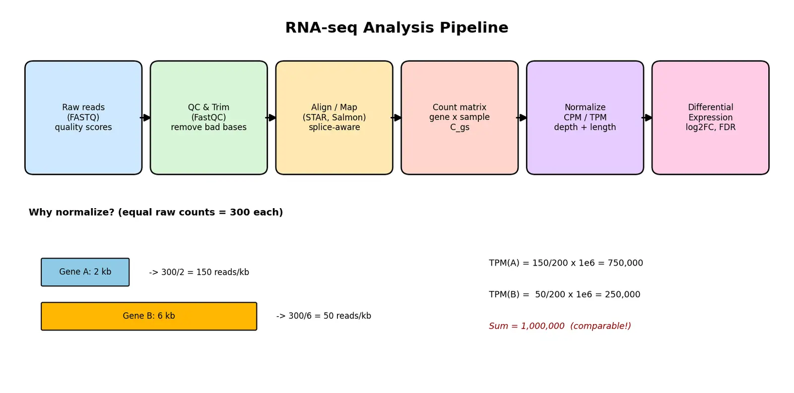 Figure — Explain RNA-seq data analysis basics