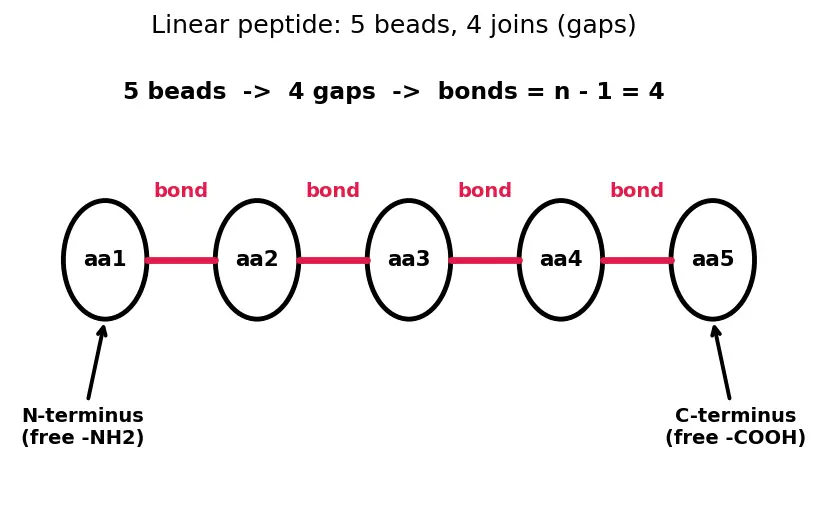 Figure — Peptide bond; primary, secondary, tertiary, quaternary protein structure