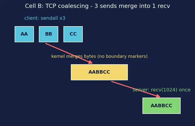 Figure — Socket programming — TCP server - client, UDP server - client in Python
