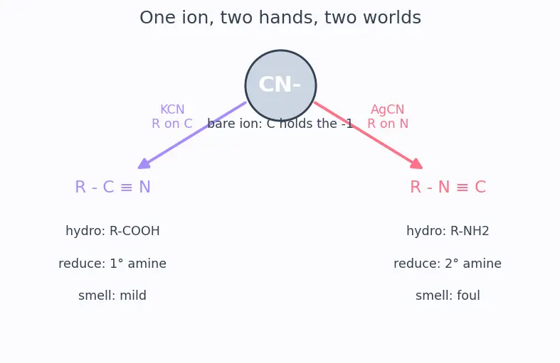 Figure — Cyanides and isocyanides
