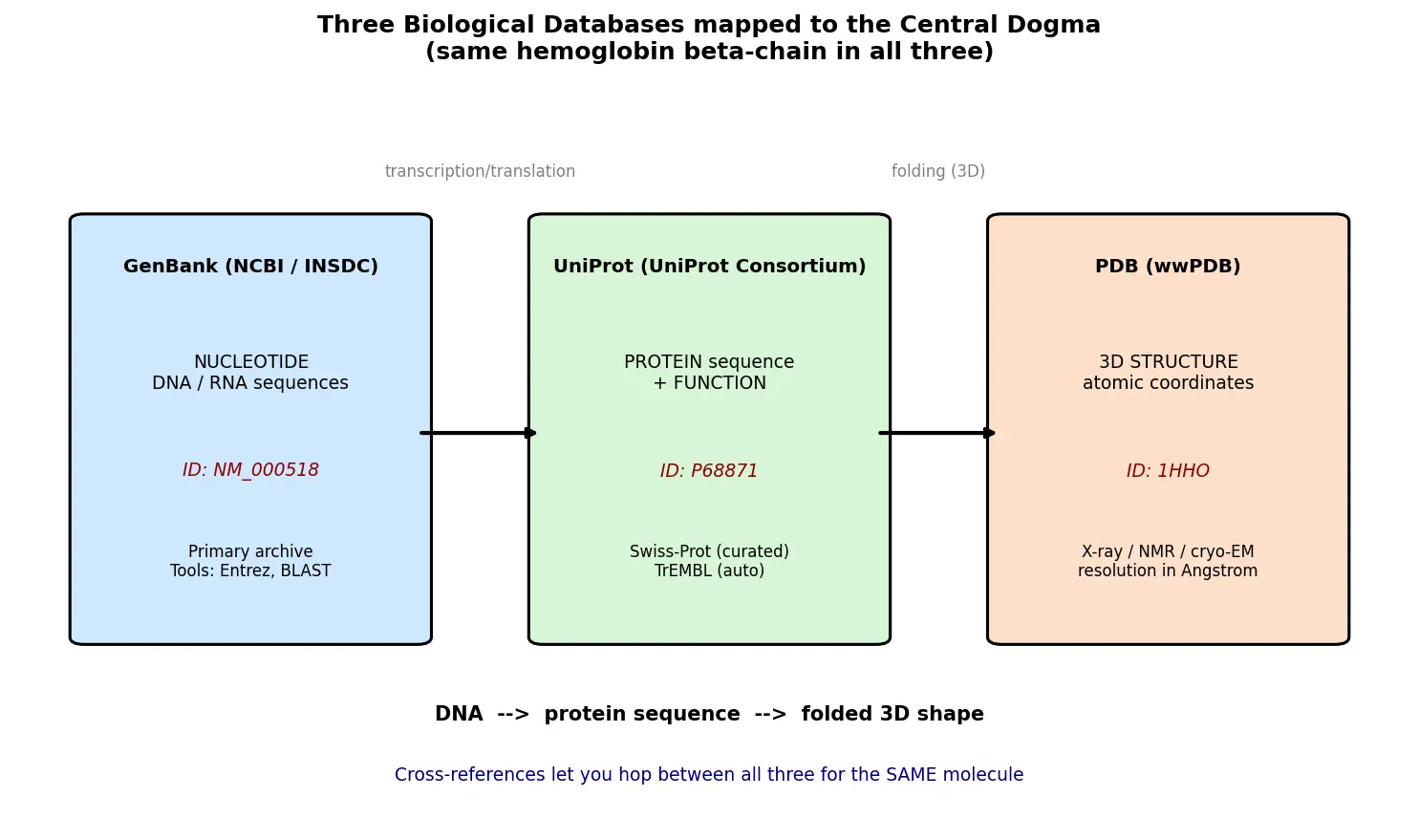 Figure — Describe biological databases (GenBank, UniProt, PDB)