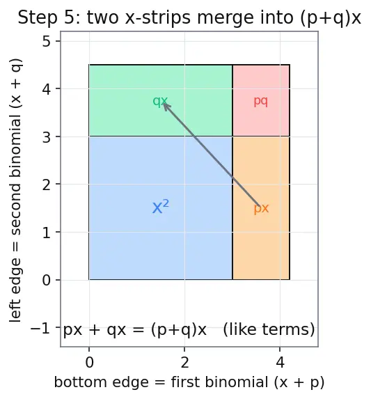 Figure — Polynomials — degree, types (monomial, binomial, trinomial)