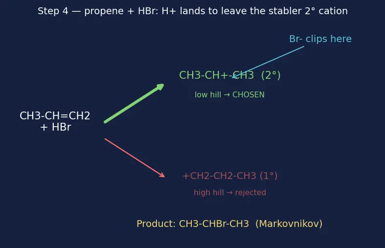 Figure — Types of organic reactions — addition, substitution, elimination, rearrangement