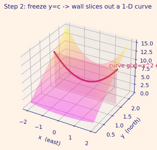 Figure — Partial derivatives