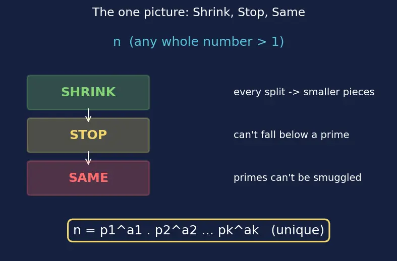 Figure — Prime factorization — factor trees, ladder method