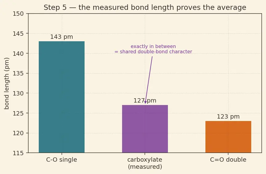 Figure — Carboxylic acids — acidity, derivatives (acid chlorides, anhydrides, esters, amides), Hell-Volhard-Zelinsky, esterificat