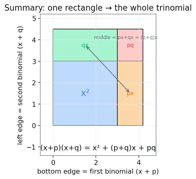 Figure — Polynomials — degree, types (monomial, binomial, trinomial)